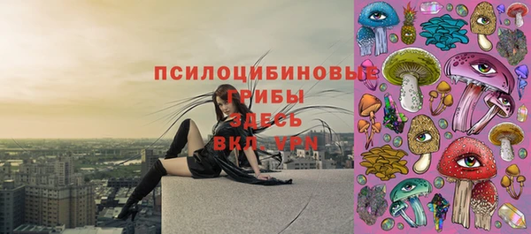 ГАЛЛЮЦИНОГЕННЫЕ ГРИБЫ Бронницы
