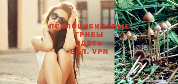 ГАЛЛЮЦИНОГЕННЫЕ ГРИБЫ Бронницы