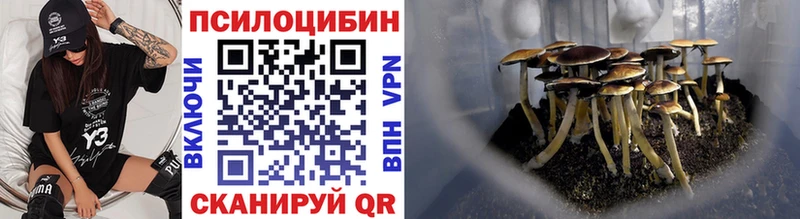 Галлюциногенные грибы прущие грибы  Мончегорск 